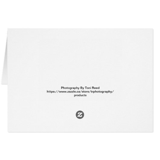 Peeping Neighbor Blank Inside Card (Achterkant Horizontaal)