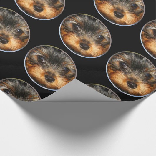 Peeping Yorkie Cadeaupapier (Hoek)