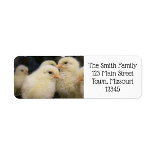 Peeps Etiket