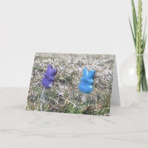 PEEPS IN HET GRAS WENSKAART BEDANKKAART