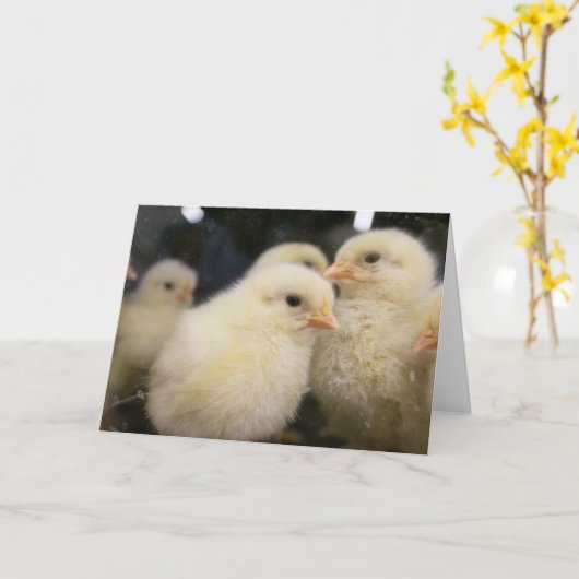 Peeps Kaart (Gele Bloem)