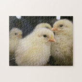 Peeps Legpuzzel (Horizontaal)