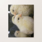 Peeps Legpuzzel (Verticaal)