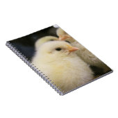 Peeps Notitieboek (Rechterzijde)