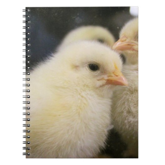 Peeps Notitieboek (Voorkant)