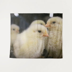Peeps Wandkleed