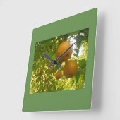 Peerboom Vierkante Klok (Hoek)