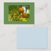 Peerboom Visitekaartje (Voorkant / Achterkant)