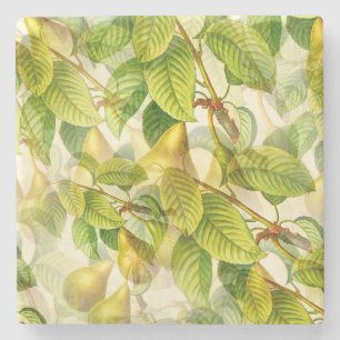 Peerboomvertakkingen & perspatroon stenen onderzetter