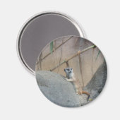 Peerkat Meerkat Magneet (Voorkant / Achterkant)