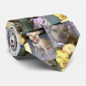 peerliefde stropdas (Opgerold)