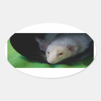 PEEWEE OVALE STICKER