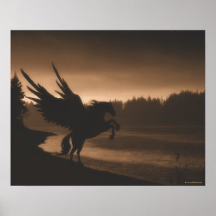 Pegasus Canvas afdrukken Poster