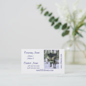 Pegasus dans des cartes de visite de forêt (Debout devant)