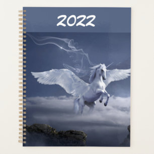 Pegasus en vol