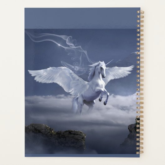 Pegasus en vol (Dos)