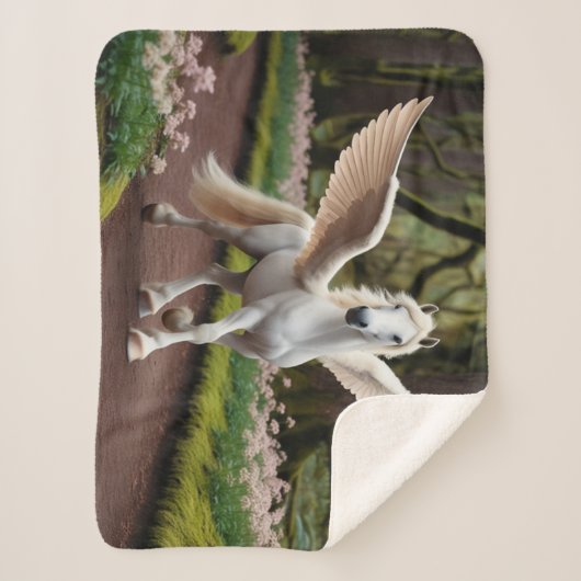 Pegasus Filly tijdens de wandeling Sherpa Deken (Voorkant)