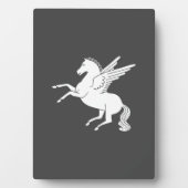 Pegasus Fotoplaat (voorkant)