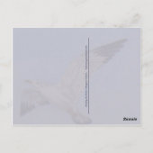 Pegasus Horse and Zee Gulls Fantasy briefkaart (Achterkant)