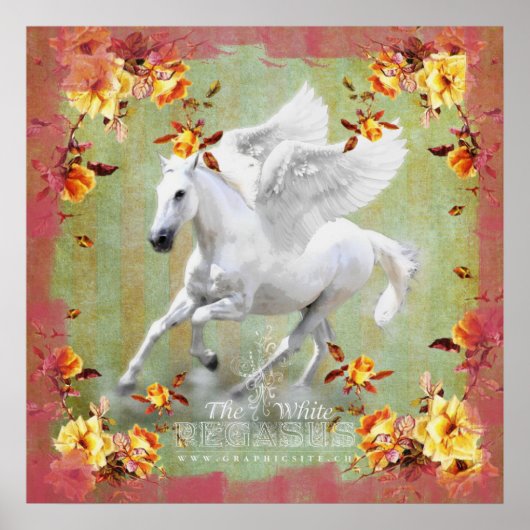 Pegasus II - Poster (Devant)