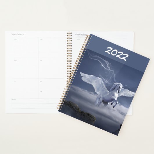 Pegasus in vlucht planner (Display)