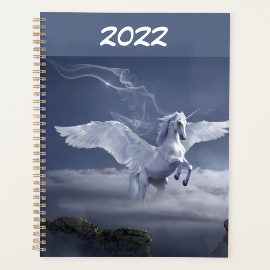 Pegasus in vlucht planner (Voorkant)