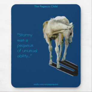 PEGASUS MAGIC COLLECTIE MUISMAT