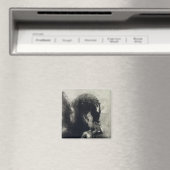 Pegasus Magneet (Insitu (Vaatwasser))