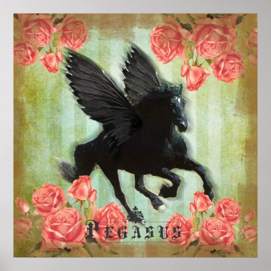 Pegasus - Poster (Devant)