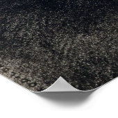 Pegasus Poster (Hoek)