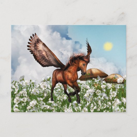 Pegasys dans une carte postale de champ (Devant)