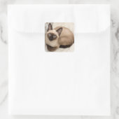 Pegatina de gato siamés vierkante sticker (Tas)
