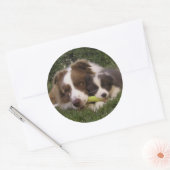 Pegatina Kun y Vir Ronde Sticker (Envelop)