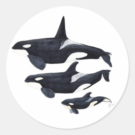 Pegatina orca ronde sticker (Voorkant)