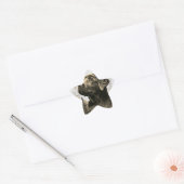 Pegatinas con forma de estrella ster sticker (Envelop)