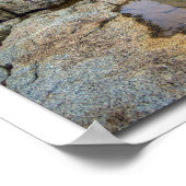 Peggys Point-vuurtoren en reflectie Poster (Hoek)