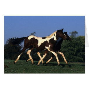 Peignez le fonctionnement de bêtes d'un an