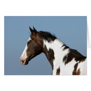 Peignez le Headshot 1 de cheval