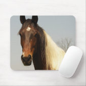 Peignez le tapis de souris de cheval (Avec souris)