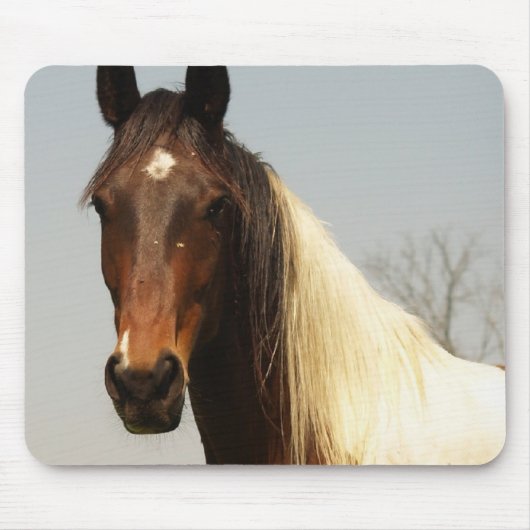 Peignez le tapis de souris de cheval (Devant)