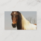 Peignez les cartes de visite de cheval (Dos)