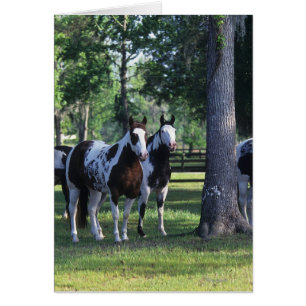 Peignez les chevaux dans les arbres