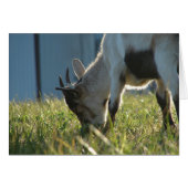 Peindre (Devant horizontal)