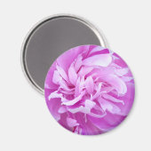 Peine rose - Aimant (Recto/Verso)