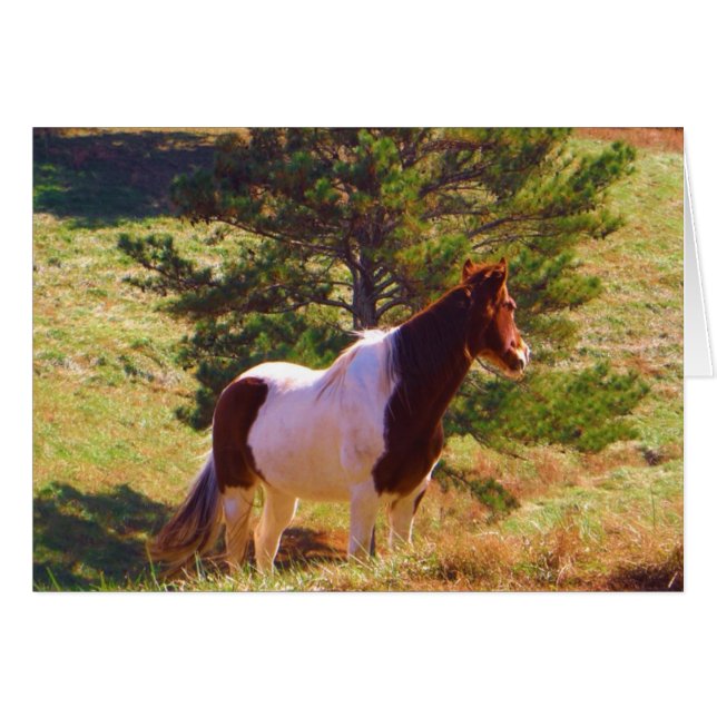 Peint Poney par le pin (Devant horizontal)