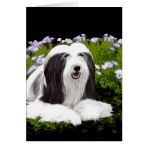 Peinture à collie à poils - Joli art original de c