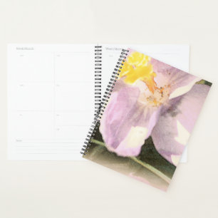 Peinture à l'aquarelle à fleurs de crocus