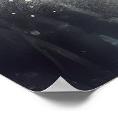 Peinture à l'encre d'un poster d'ours blanc (Coin)