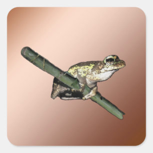 Peinture à l'huile de petite grenouille, Stickers