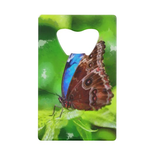 Peinture à papillon (Devant)